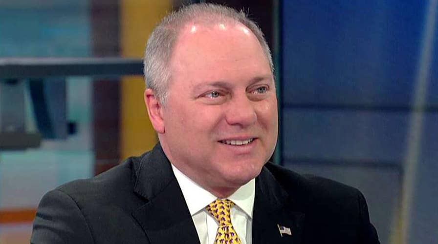 Rep. Steve Scalise reacts to the Democrat Party's 'radical' turn