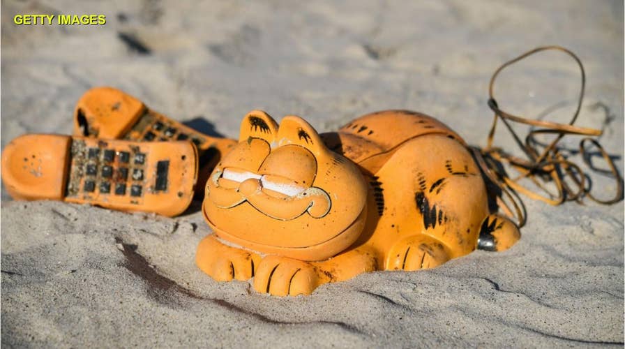 Mystery of plastic Garfield novelty phones washing up solved