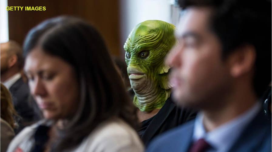 'Swamp creatures' crash Trump nominee's Senate confirmation hearing