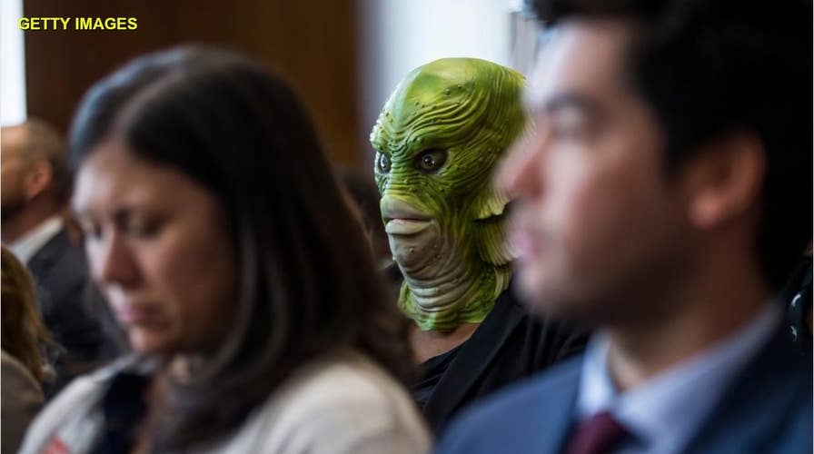 'Swamp creatures' crash Trump nominee's Senate confirmation hearing