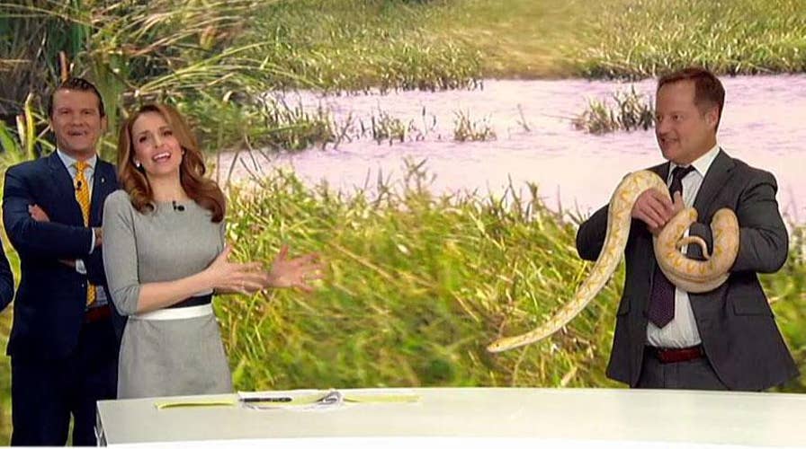 Can Jedediah overcome her fear of snakes?