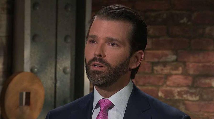 Donald Trump Jr. calls Russia probe 'disgusting'