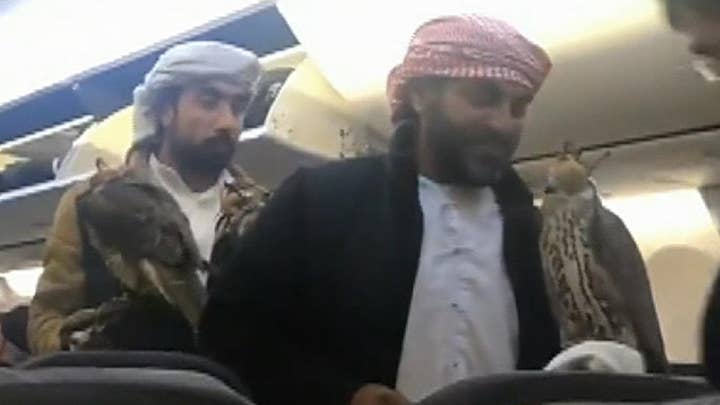 Video of men boarding plane carrying falcons goes viral