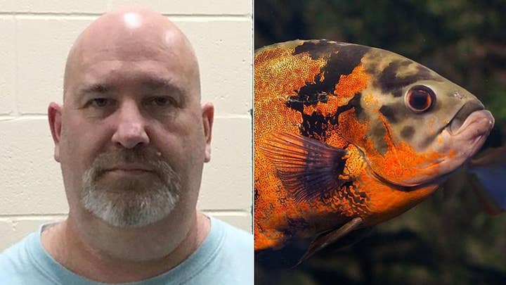 Man who allegedly abandoned pet fish faces animal cruelty charges