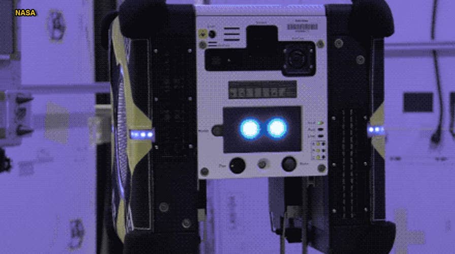 NASA is sending 'robotic bees' to space