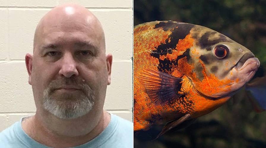 Man who abandons pet fish faces animal cruelty charges