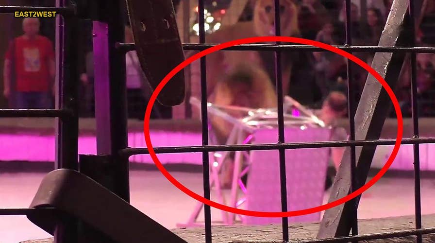 Circus lion attacks trainer in terrifying moment caught on camera