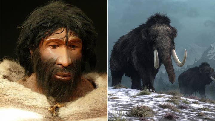 A new study suggests that woolly mammoths and Neanderthals may have shared genetic traits