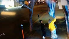 Woman seen tearing down 'thin blue line' flag sought by California police