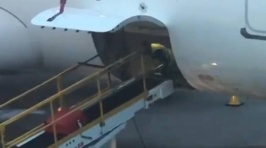 Baggage handler spotted doing push-ups in cargo of EasyJet plane