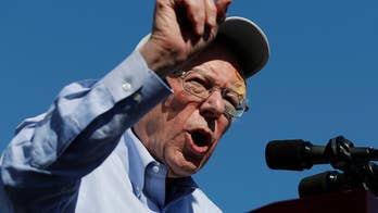 Democratic strategist: Dems may yet 'find a way to not win' 2020