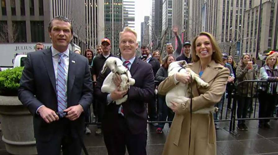 Goat for the Old Goat joins 'Fox & Friends'