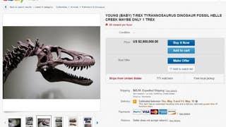  Rare baby T-Rex skeleton listed on eBay for $3M infuriates scientists - Fox News