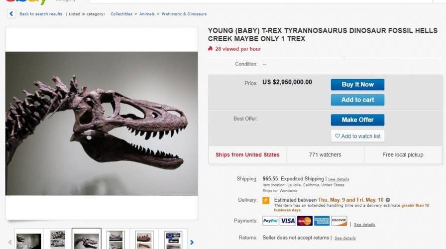 Rare baby T-Rex skeleton listed on eBay for $3M infuriates scientists
