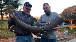 Workers make stunning discovery of mastodon bones while installing sewer on farm - Fox News