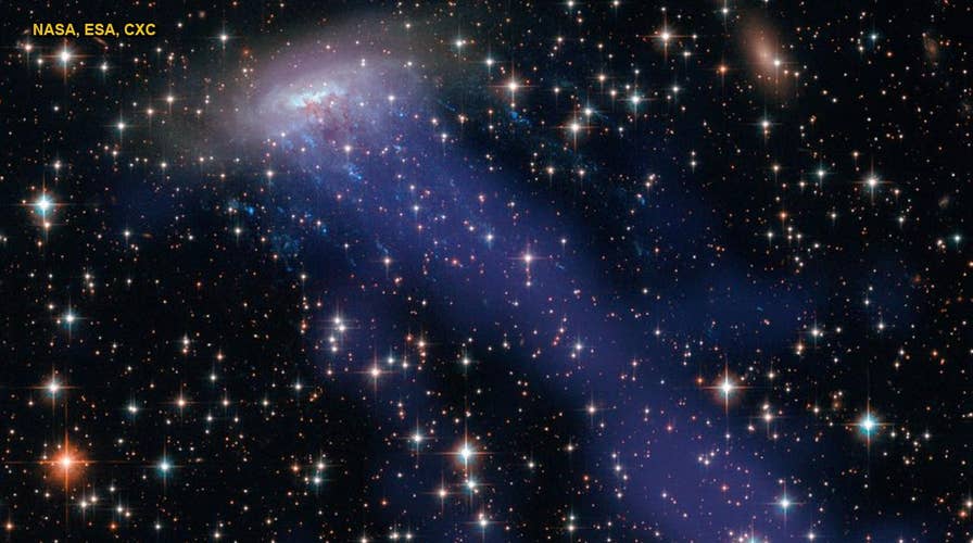 NASA spots mysterious galactic 'jellyfish' in space