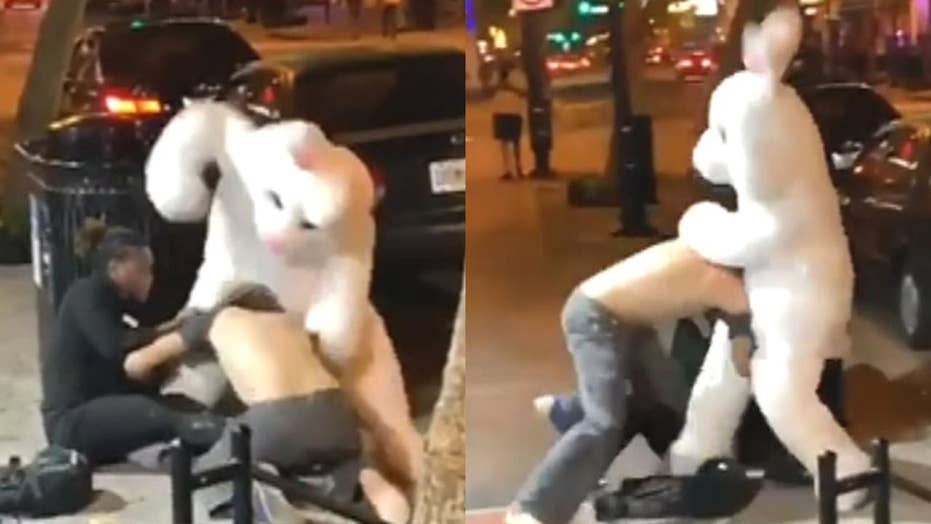 Florida Person In Easter Bunny Costume Captured Brawling On Video Fox News