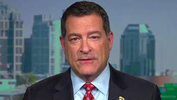 Rep. Mark Green blasts Dems' 'massive leveraging' of legislative against executive branch