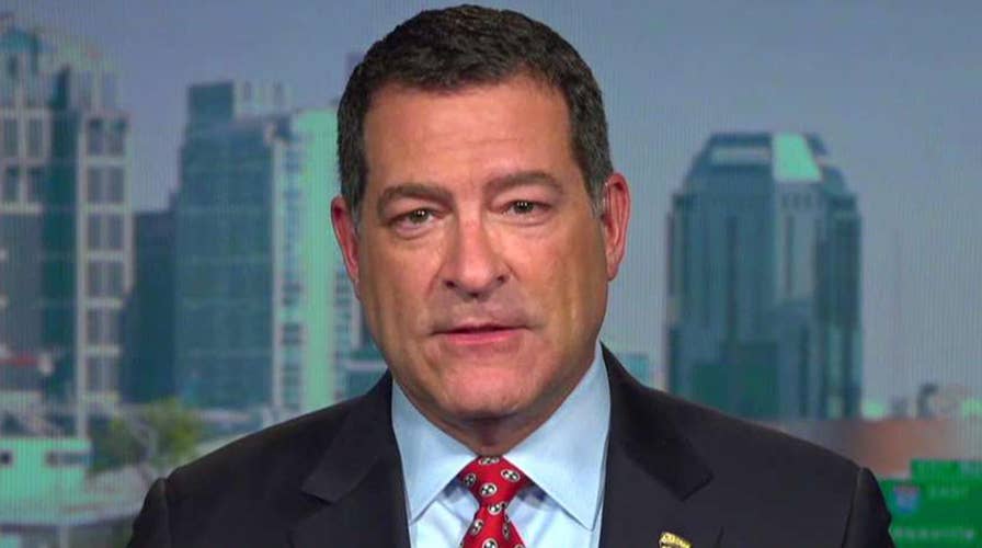 Rep. Mark Green blasts Democrats' 'massive leveraging' of the legislative branch against the executive branch