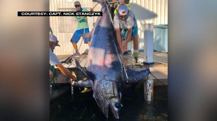 Catch of a lifetime: Fisherman hooks nearly 760-pound swordfish