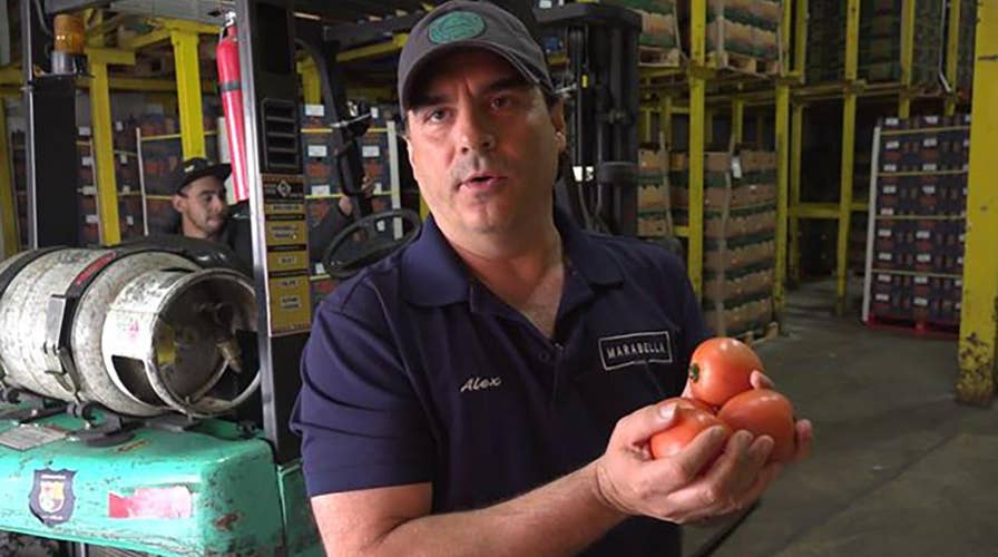 Border wait times could lead to increase in grocery prices