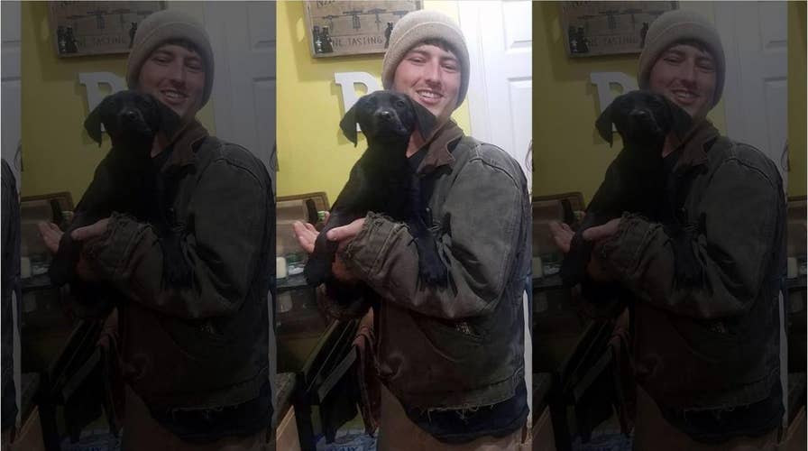 Deaf man adopts deaf puppy from shelter, teaches dog sign language commands