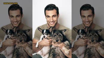 Animal Planet star Dr. Evan Antin talks his new show and tips for summer pet safety