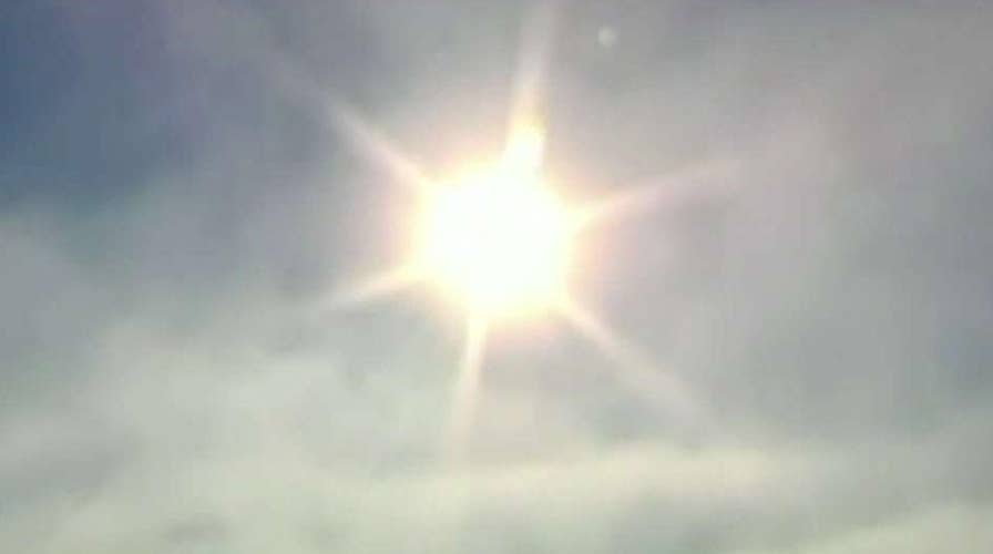 UN report warns 1 million species face extinction