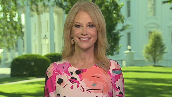 Kellyanne Conway: Those opposing investigation into intelligence leaks 'can't have it both ways'