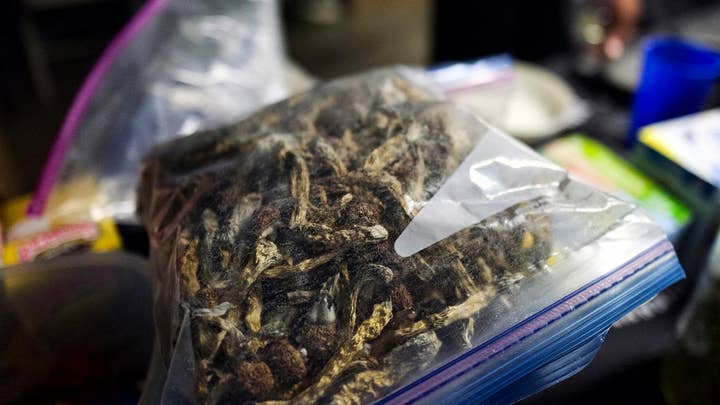 Denver mulls decriminalizing hallucinogenic mushrooms