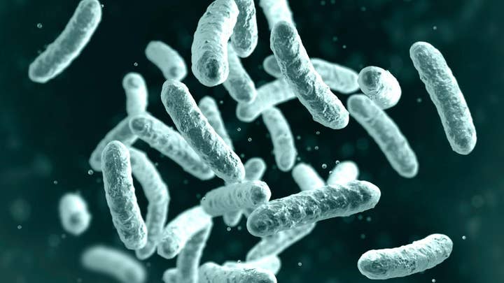Bubonic plague deaths quarantine American tourists in Mongolia