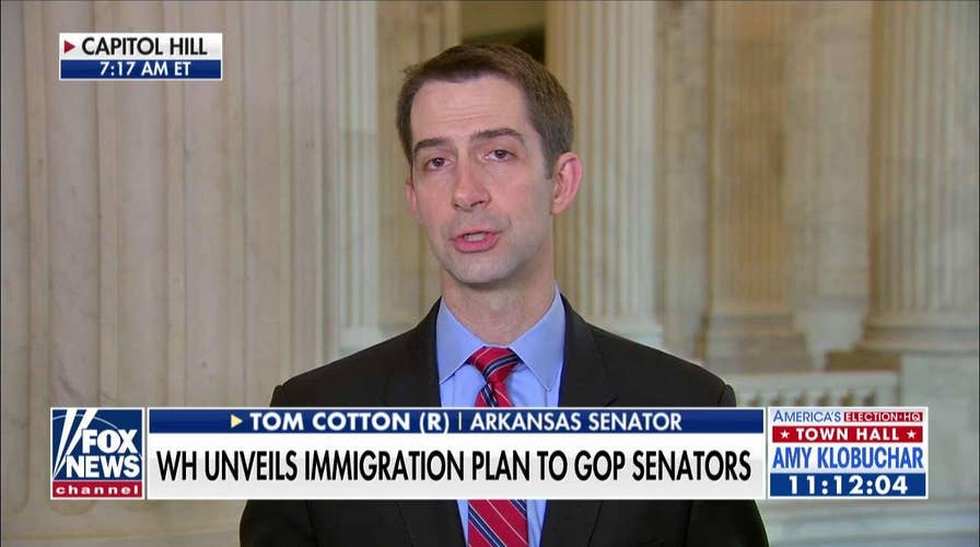 Sen. Cotton: More and More Dems Now Recognizing 'Crisis' at Southern Border