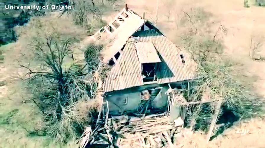 Chernobyl's Red Forest mapped by drones as scientists discover radioactive hotspots