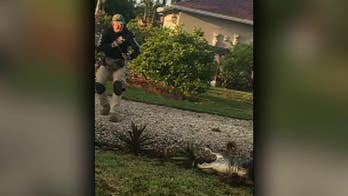 'Massive' Florida alligator does 'death roll' during 'wrestling match' with officers near school bus stop