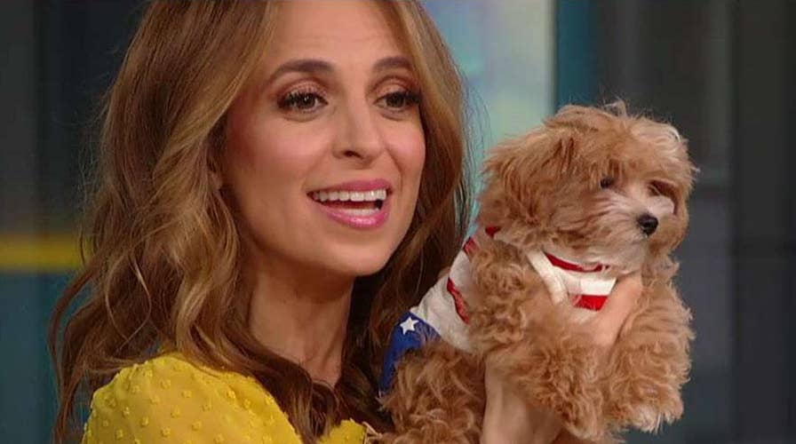 'Fox & Friends' celebrates National Dog Mom's Day