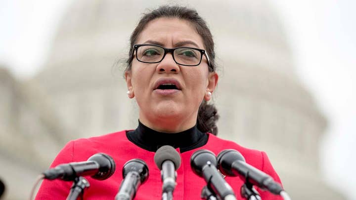 Rep. Rashida Tlaib criticized for Holocaust comments