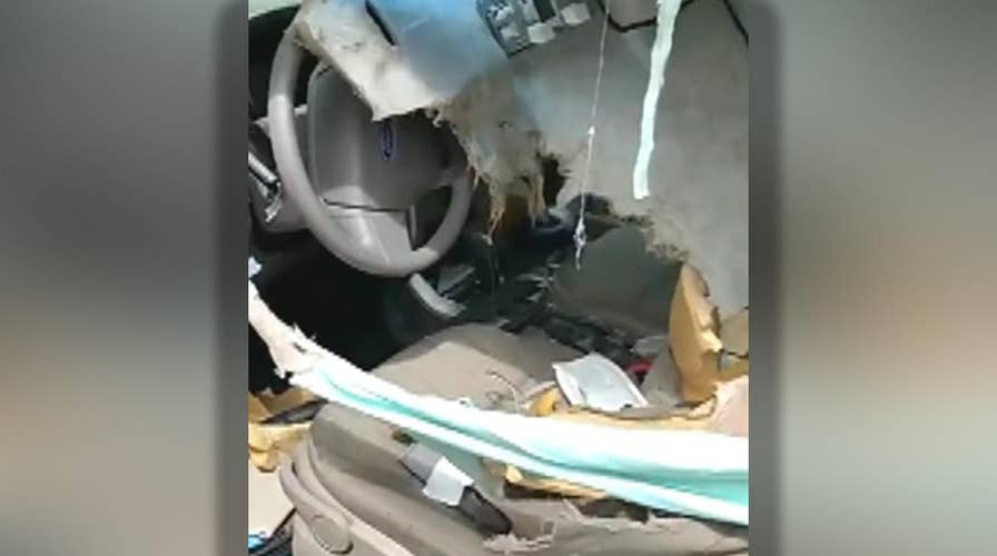 Bear tears apart the inside of a car in Colorado