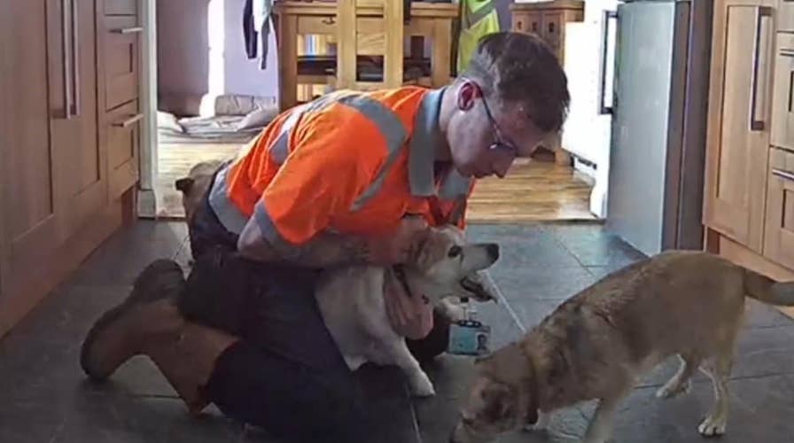 Man saves pet dog from choking on piece of cheese using Heimlich maneuver