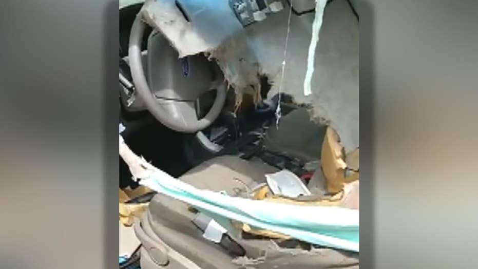 Bear tears apart the inside of a car in Colorado