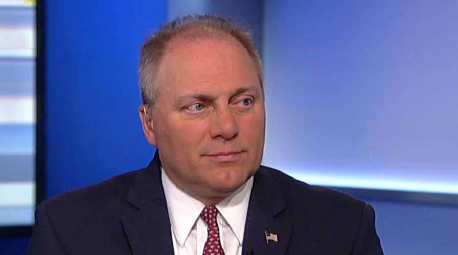 Rep. Steve Scalise on Trump's merit-based immigration plan