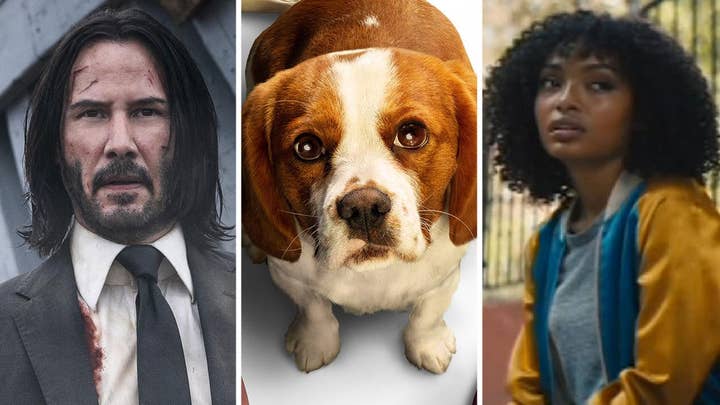 New in Theaters: 'John Wick: Chapter 3,' 'A Dog's Journey' and 'The Sun Is Also a Star'