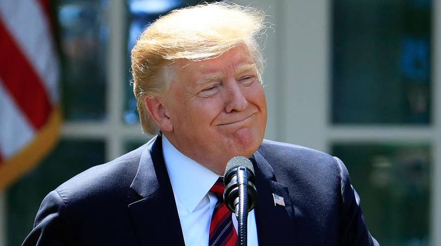 National Border Patrol Council president breaks down Trump's immigration plan