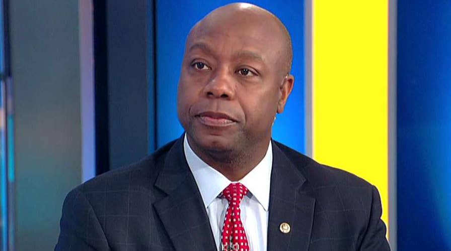Sen. Tim Scott: We need a merit based immigration system