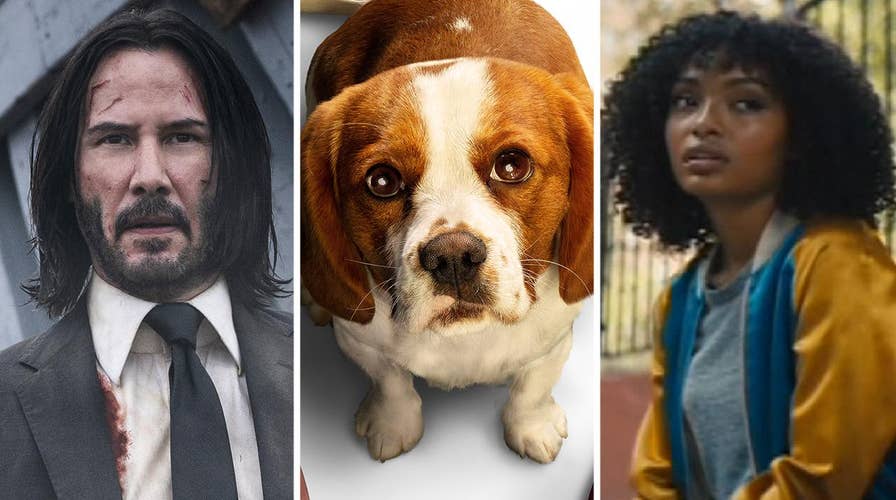 New in Theaters: 'John Wick: Chapter 3,' 'A Dog's Journey' and 'The Sun Is Also a Star'