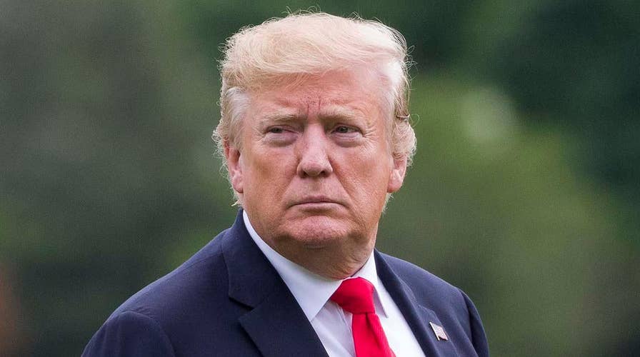 Trump says illegal immigrants will be removed at a later date