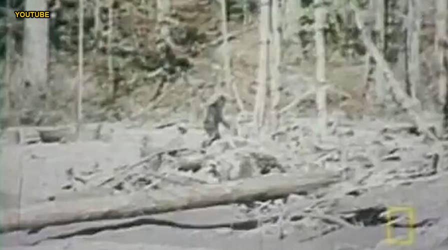 FBI unveils documents related to 1970s Bigfoot investigation - ABC