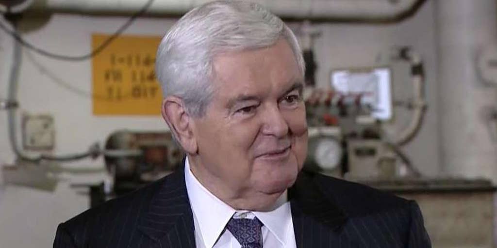 Newt Gingrich Democrats Only Have One Item On Their Agenda Beat Trump Fox News Video 