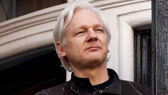 Julian Assange not fit to stand trial, subjected to 'psychological torture': UN expert