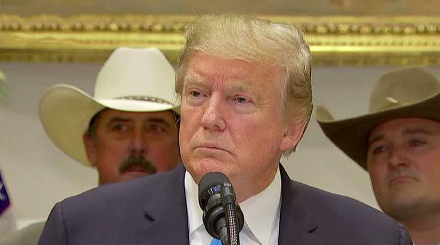 Trump denies he had a temper tantrum in meeting with 'crying Chuck' Schumer and 'crazy Nancy' Pelosi