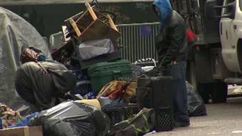 Trade union holds up Silicon Valley residential project over potential threat to birds